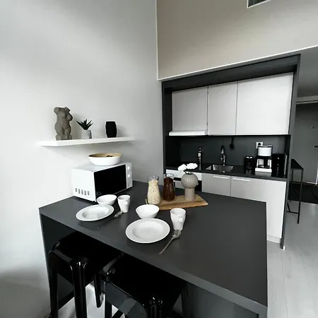 Apartment Cozy Penthouse Loft - Near The Airport *